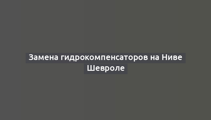 Замена гидрокомпенсаторов на Ниве Шевроле