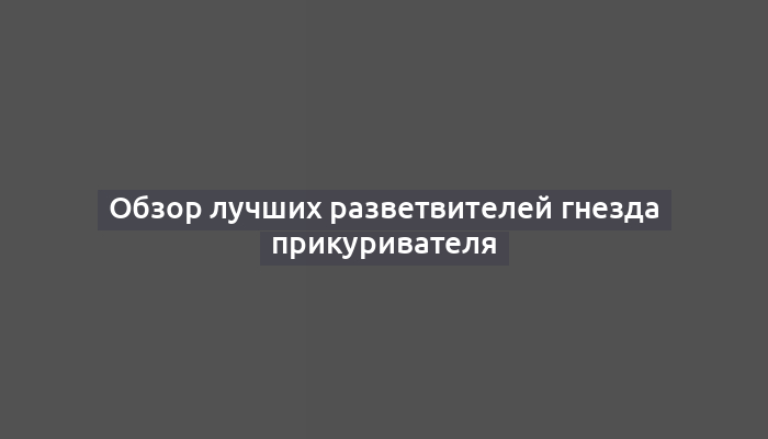 Обзор лучших разветвителей гнезда прикуривателя