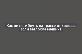 Как не погибнуть на трассе от холода, если заглохла машина